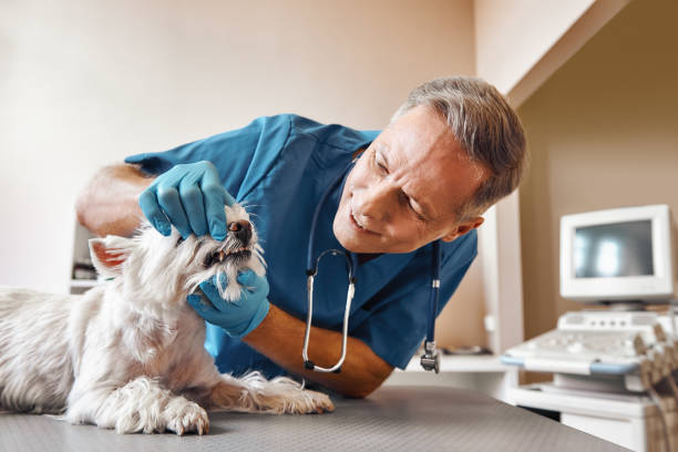 Best Emergency Tooth Extraction in Monticello, LA